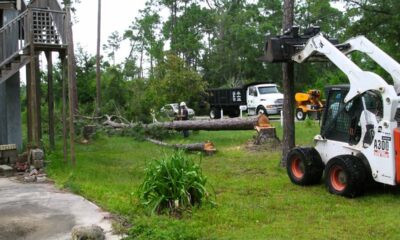 Powerline Tree Removal, Pass Christian Mississippi