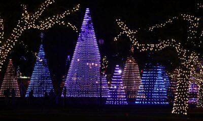 Gulfport's Holiday Lights festival brings dazzling color to Jones Park