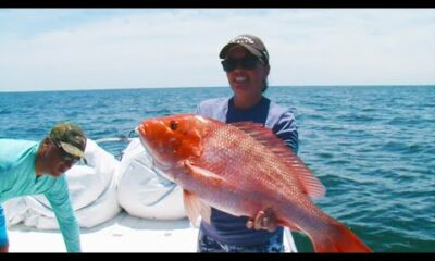 Spot on Charters Red Snapper Fishing