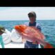 Spot on Charters Red Snapper Fishing