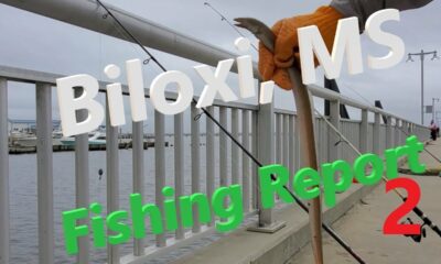 Biloxi, MS Fishing Report 2