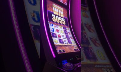 Winning on Buffalo at Harrah’s in Biloxi, MS