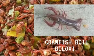 Lots of Fun at Crawfish Boil Biloxi Mississippi. #crawfishboil #Biloxi