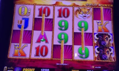 Harrah’s casino Biloxi- rare 5 coin bonus on Buffalo Gold