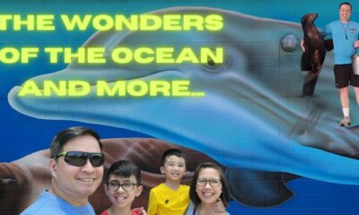 Ocean Adventures Marine Park 🐬(Mississippi)