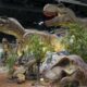 Jurassic Quest heading into Mississippi Coast Coliseum Convention Center