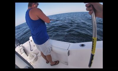 Red Snapper Fishing, With a Surprise COBIA ( Pascagoula Mississippi)