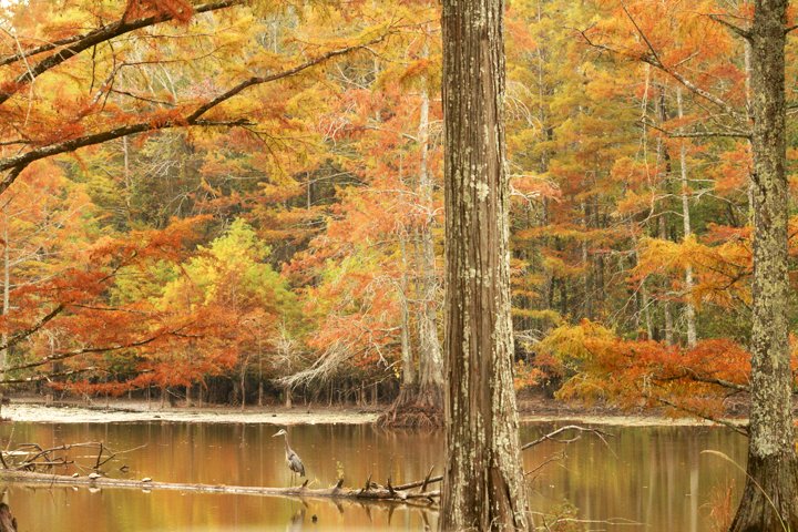 This Easy Fall Hike In Mississippi Is Just 2 Miles