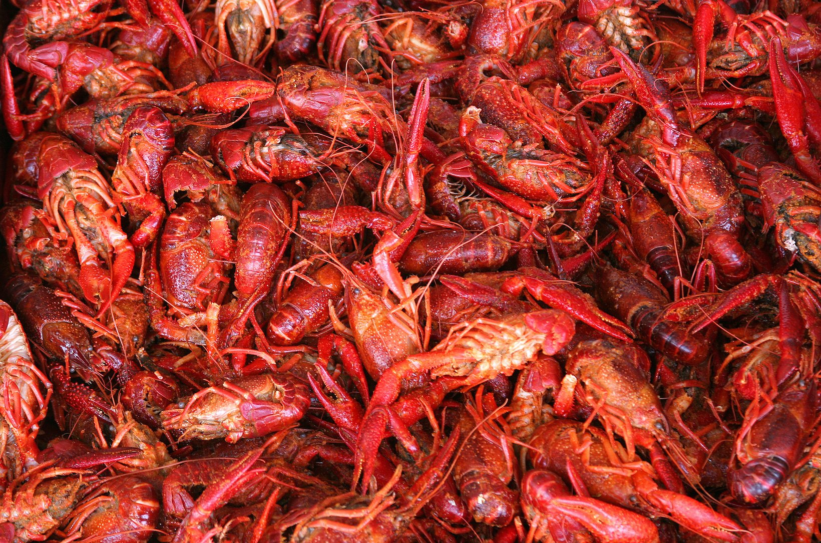 8 Best Seafood Festivals on the Gulf Coast