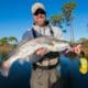 The Ultimate Guide to Fall Fishing in Coastal Mississippi