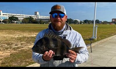 DO THIS TO CATCH MORE FISH!! AS SOON AS THE BAIT TOUCHED THE WATER I WAS HOOKED UP!! Biloxi, MS