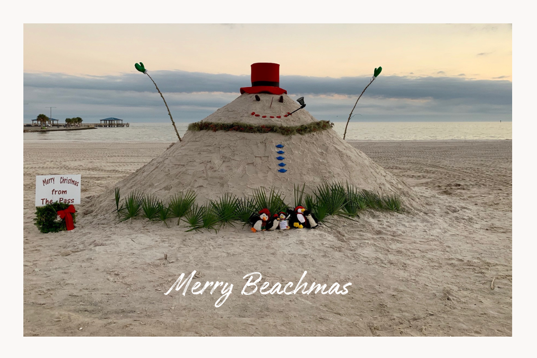 Picture Perfect Holiday Cards from Coastal Mississippi