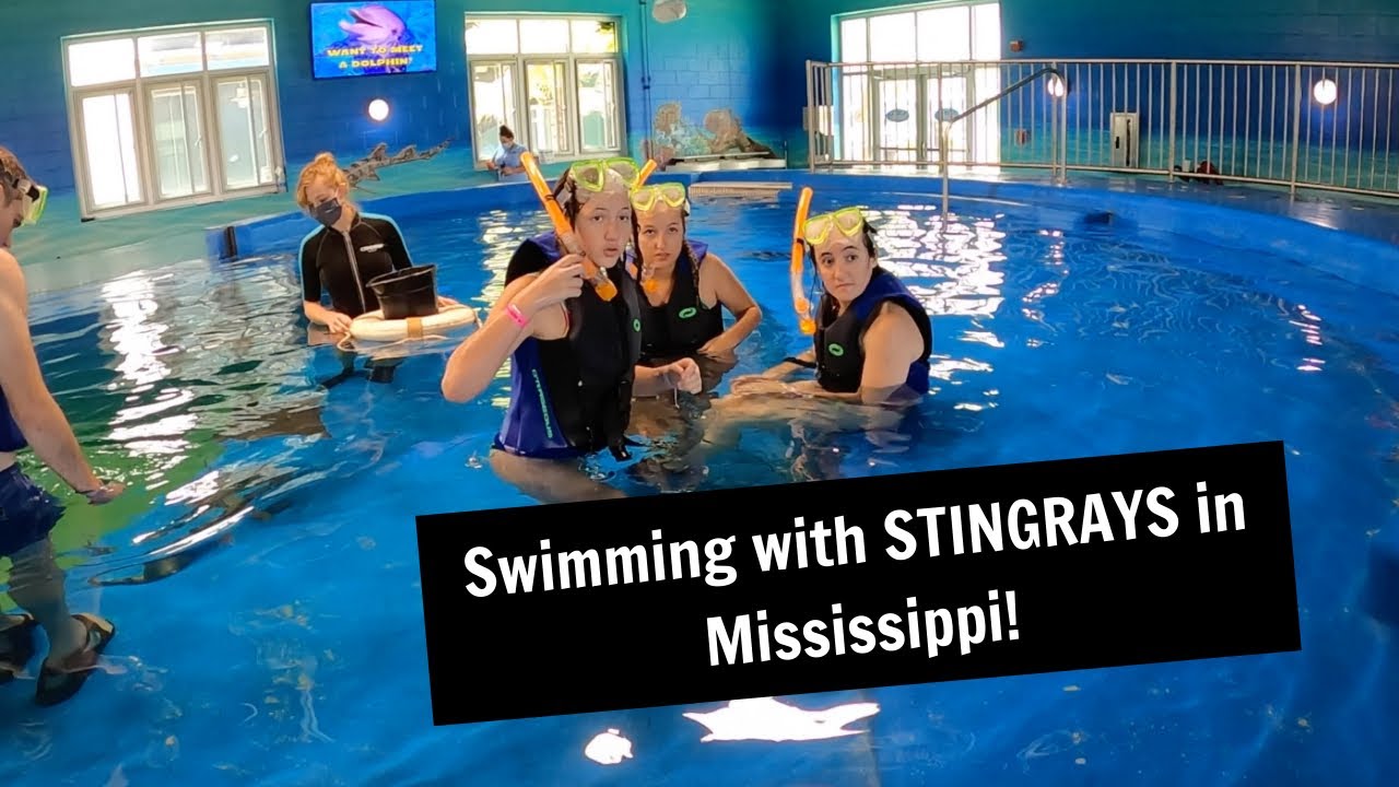 Swimming with STINGRAYS in Mississippi! | Gulfport, Mississippi