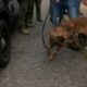 Moss Point K9 Buddy reunited with family after he was shot