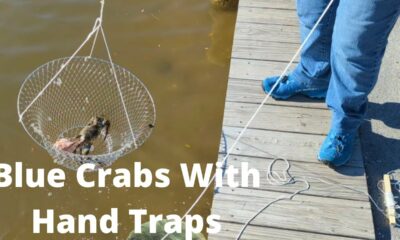 Birthday Crabbing Trip In Mississippi #crabbinginBiloxi