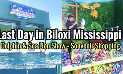 Last Day in Biloxi Mississippi | Dolphin & Sea Lion Show + Souvenir Shopping