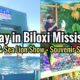 Last Day in Biloxi Mississippi | Dolphin & Sea Lion Show + Souvenir Shopping