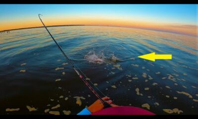 Is it time?? Wade fishing Mississippi beaches.