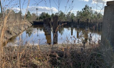 Hattiesburg plant proposed as hazardous waste site