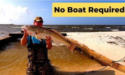 No boat required!! Wade Fishing Mississippi (speckled trout & redfish)