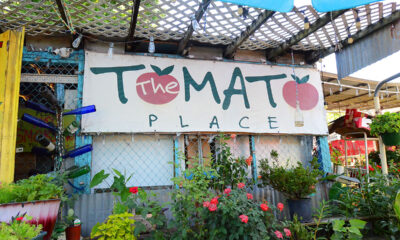 The Tomato Place, a Mississippi treasure