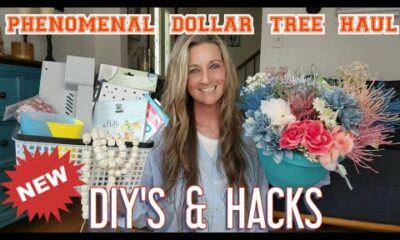 PHENOMENAL Dollar Tree Haul | All New| Sharing DIY & Hack Ideas| Along With Some Laughs| June 3