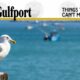 Things You Can’t Miss in Gulfport, Florida // 2022 Travel Guide