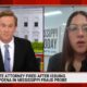 Anna Wolfe discusses welfare scandal on MSNBC