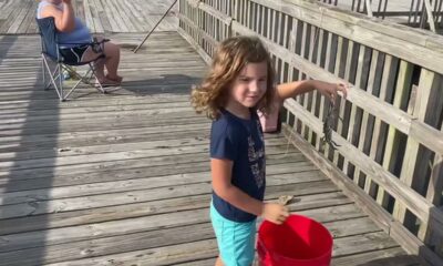 194 blue crabs ( catch and cook) best day crabbing yet.