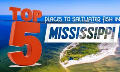 Top 5 Saltwater Fishing spots in Mississippi