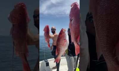 Snapper Season Spearfishing Gulf of Mexico Ocean Springs Mississippi