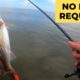 No Boat Required: Speckled Trout wade fishing (Long Beach & Gulfport, MS)