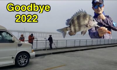 Sheepshead fishing in Biloxi, Mississippi on the last day of the year (12/31, 2022)