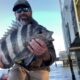 Sheepheads and Redfish in Gulfport MS