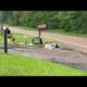 Chickens pick through garbage