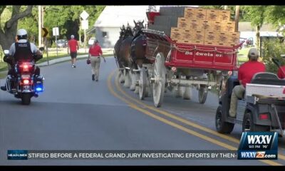 Budweiser Clydesdales parade through Ocean Springs