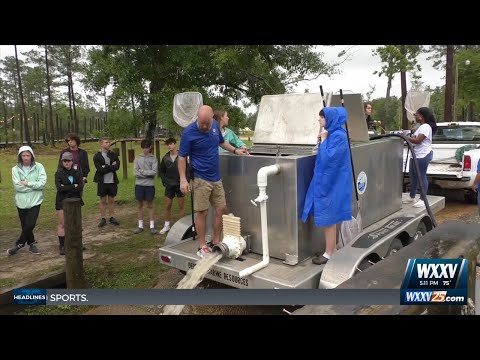 Ocean Springs aquaculture program release striped bass into the wild