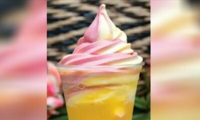 Dole Whip Heads to Stores