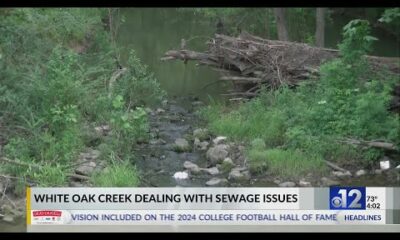 Broken line leads to sewage leak into White Oak Creek