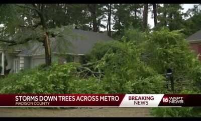 Trees down across Metro