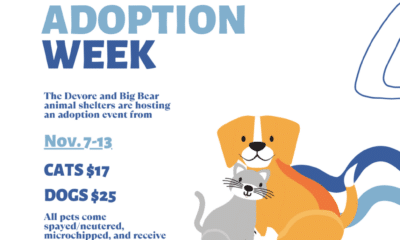 National Pet Adoption Week