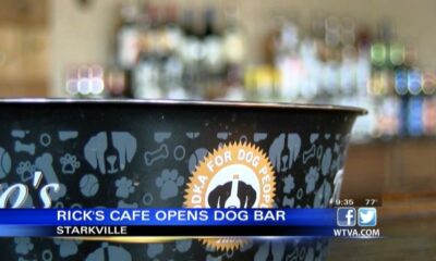 VIDEO: Rick’s Cafe opens dog bar