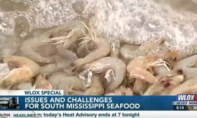 Issues and challenges for South Mississippi seafood