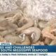 Issues and challenges for South Mississippi seafood