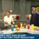 In the Kitchen with Archie’s Hot Dog Island