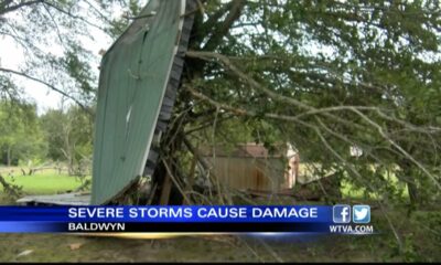 Man thankful storm didn’t injury Baldwyn grandmother