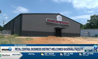 Petal Central Bsuiness District welcomes baseball facility