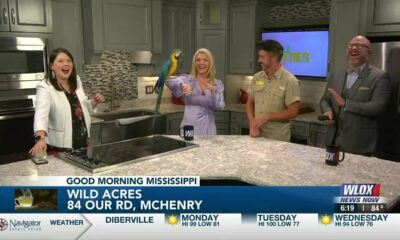 Colorful Caillou the Macaw visits the GMM set