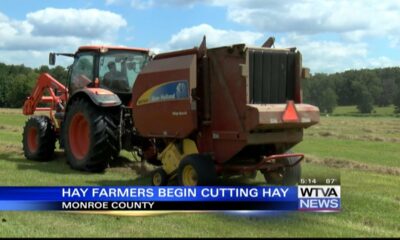 Local farmer begins cutting hay after delays from recent rain