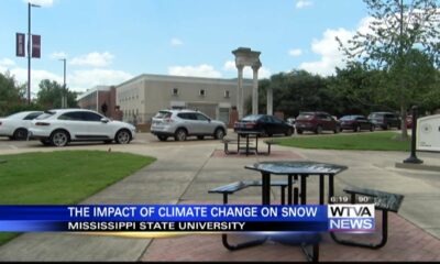 MSU Researchers Dive into Decreasing Snow Coverage